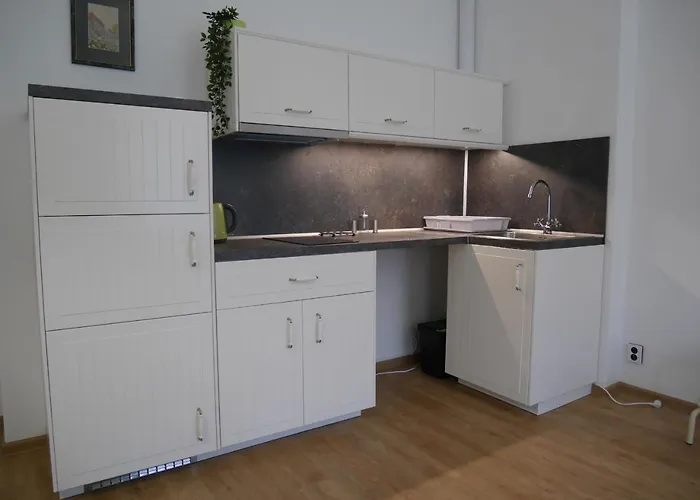 Apartment Moskevska 40